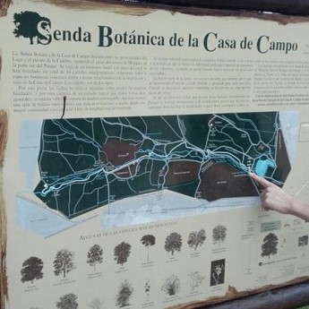 Senda bot&aacute;nica