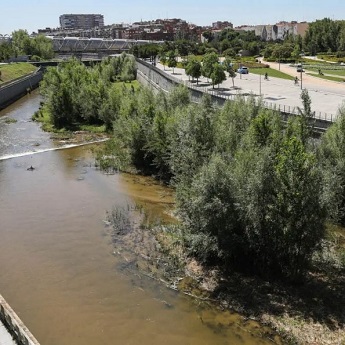 Itinerario de Casa de Campo a Madrid R&iacute;o I