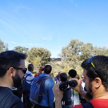 Paseo ornitol&oacute;gico por la Casa de Campo