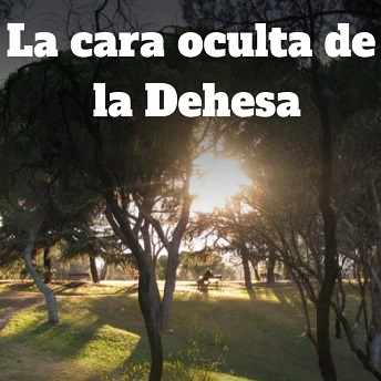 La cara oculta de La Dehesa