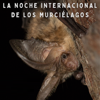 Imagen de la actividad La noche internacional de los murci&eacute;lagos
