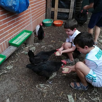Taller de fauna familiar