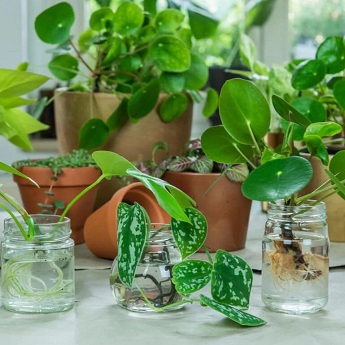 Imagen de la actividad Esquej&oacute;dromo