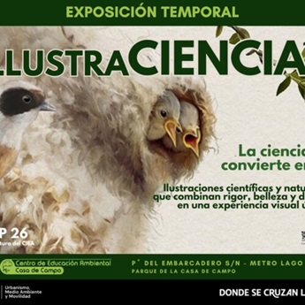 Imagen de la exposici&oacute;n temporal Ilustraciencia