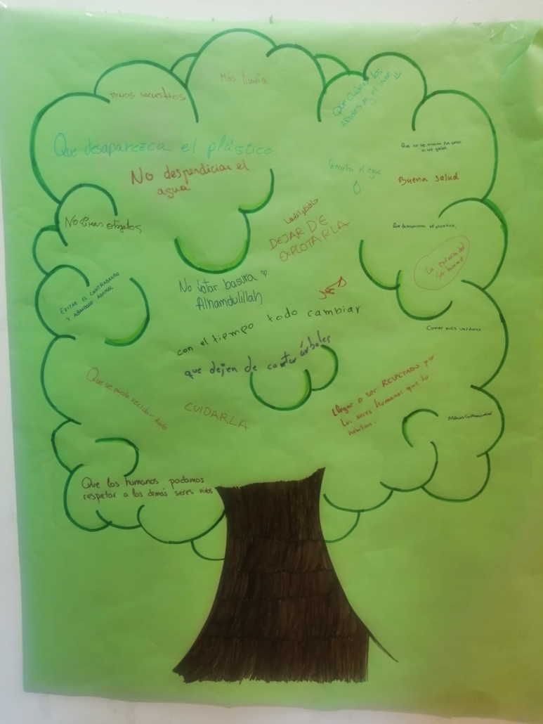 &Aacute;Rbol de deseos