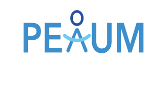 Logotipo Plan Estrat&eacute;gico de Accesibilidad de Madrid