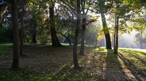 Retiro &copy; Archivo Madrid